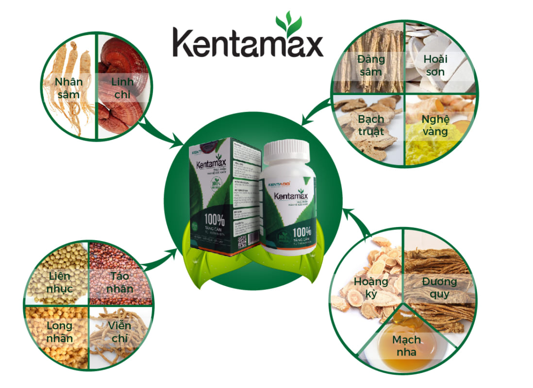 Kentamax được bào chế từ 13 vị dược liệu quý